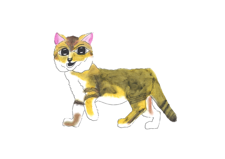 cat